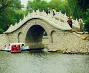 阿城天气预报7天