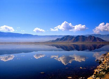 疏勒天气预报7天