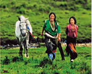 安多天气预报40天