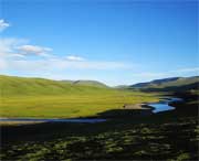 泽库天气预报40天