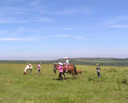 龙里天气预报15天